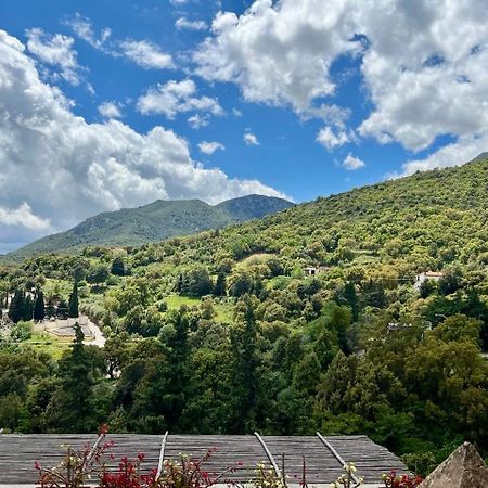 B&B Su Biancu Urzulei Bagian luar foto